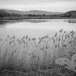 2023 02 05 gassi yumi smatvelde