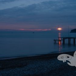 2004 12 28 tuerkei ii