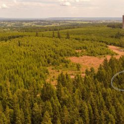 2023 07 10 moesseberg reservat pano