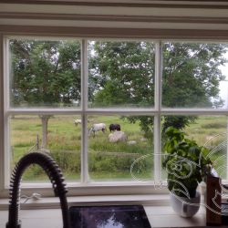 2023 07 11 urlaub schweden   zausel handy