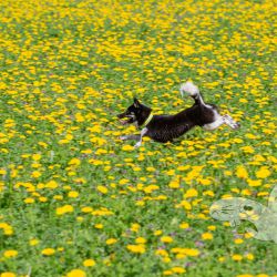 2023 04 23 spaziergang yumi