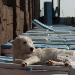 2004 12 27 tuerkei i